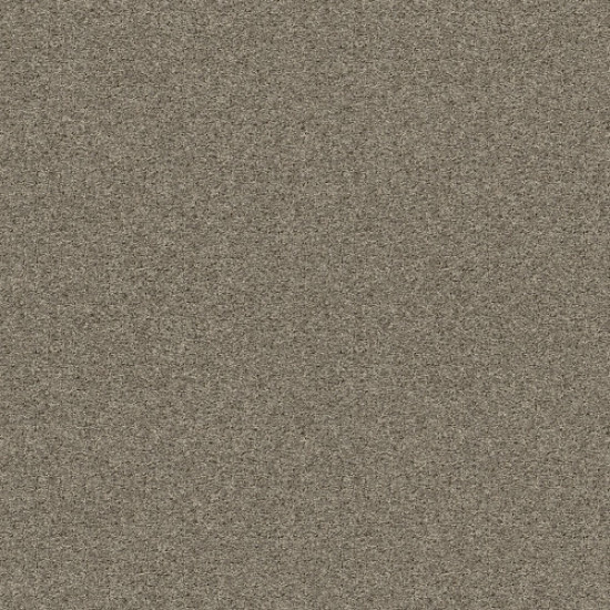 SHAKE IT UP (S) - Cement 00510 SHAKE IT UP (S) - Cement 00510