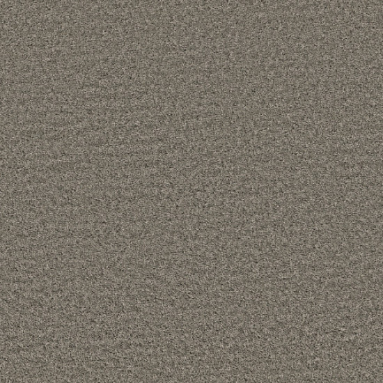SHAKE IT UP (S) - Cement 00510 SHAKE IT UP (S) - Cement 00510