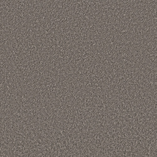 SHAKE IT UP (S) - Monument 00513
