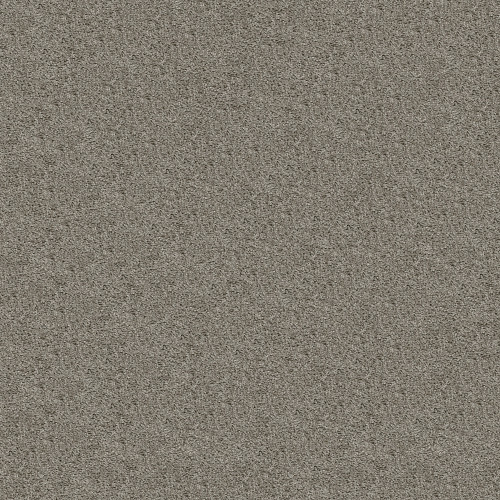 SHAKE IT UP (S) - Forever Pewter 00710