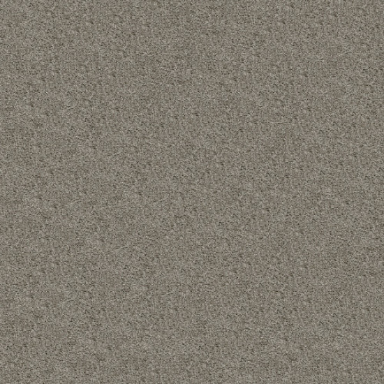 SHAKE IT UP (S) - Forever Pewter 00710 SHAKE IT UP (S) - Forever Pewter 00710