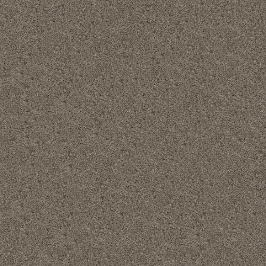 SHAKE IT UP (S) - Forever Pewter 00710 SHAKE IT UP (S) - Forever Pewter 00710