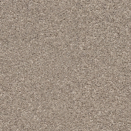 SHAKE IT UP (S) - Forever Pewter 00710 SHAKE IT UP (S) - Forever Pewter 00710