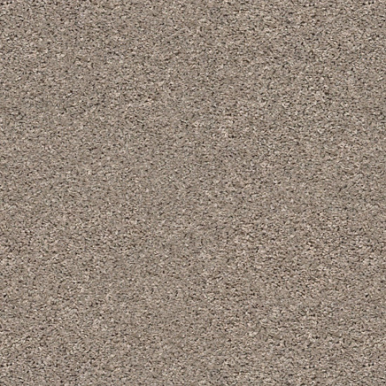 SHAKE IT UP (S) - Forever Pewter 00710 SHAKE IT UP (S) - Forever Pewter 00710