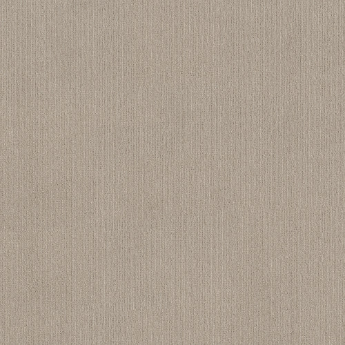 INSIGHTFUL WAY - Studio Taupe 00173