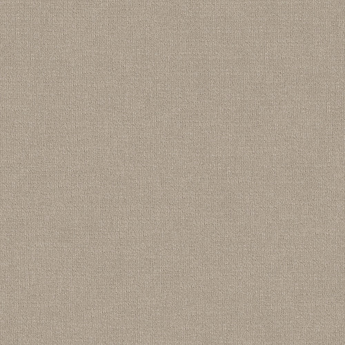 SENSIBLE NOW - Studio Taupe 00173