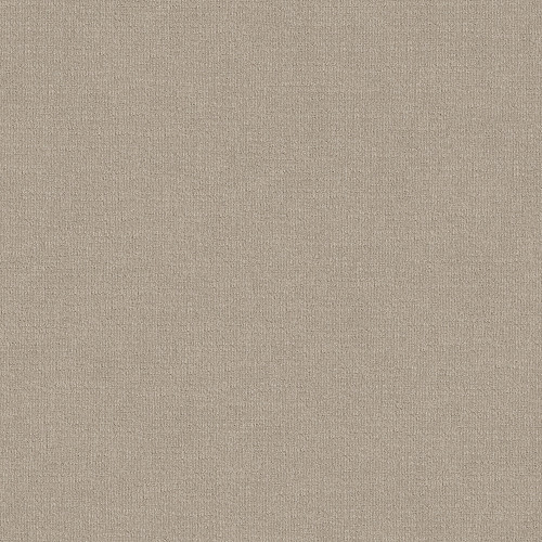 SENSIBLE NOW - Studio Taupe 00173