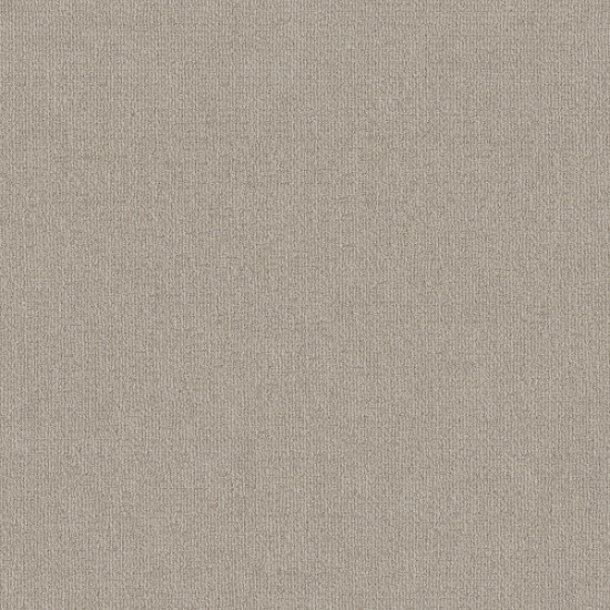 SENSIBLE NOW - Quiet Moment 00175 SENSIBLE NOW - Quiet Moment 00175
