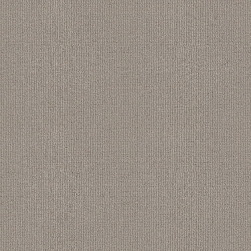 SENSIBLE NOW - Etched Glass 00576