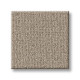 SENSIBLE NOW - Park Avenue 00770