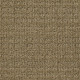 SENSIBLE NOW - Summerville 00776