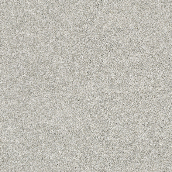 ALL OVER IT I - Dove 00500