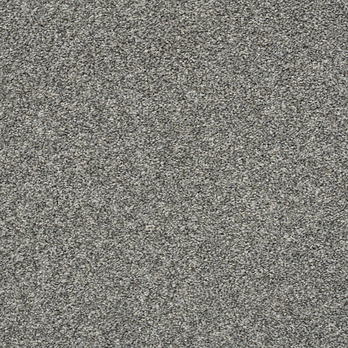 ALL OVER IT I - Sparrow 00504