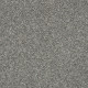 ALL OVER IT I - Sparrow 00504 ALL OVER IT I - Sparrow 00504