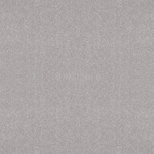 ALL OVER IT II - Dove 00500