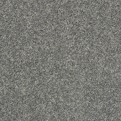 ALL OVER IT II - Sparrow 00504