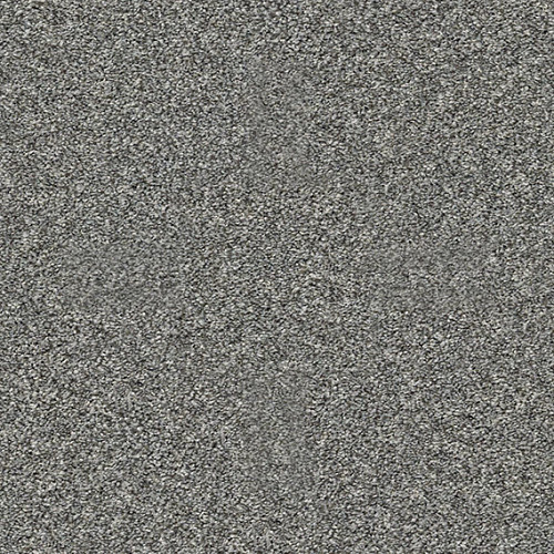 ALL OVER IT II - Sparrow 00504