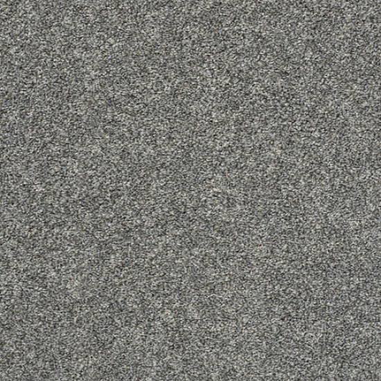 ALL OVER IT II - Sparrow 00504 ALL OVER IT II - Sparrow 00504