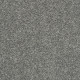 ALL OVER IT II - Sparrow 00504 ALL OVER IT II - Sparrow 00504
