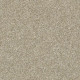 ALL OVER IT II - Latte 00700 ALL OVER IT II - Latte 00700