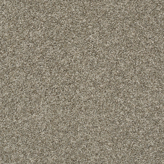 ALL OVER IT II - Clay 00701 ALL OVER IT II - Clay 00701