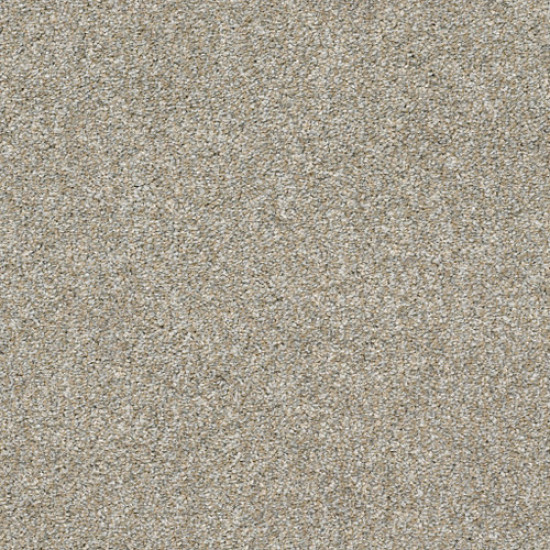 ALL OVER IT I - Misty Harbor 00510 ALL OVER IT I - Misty Harbor 00510