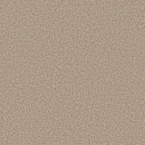 ALL ABOUT IT - Biscotti 00100