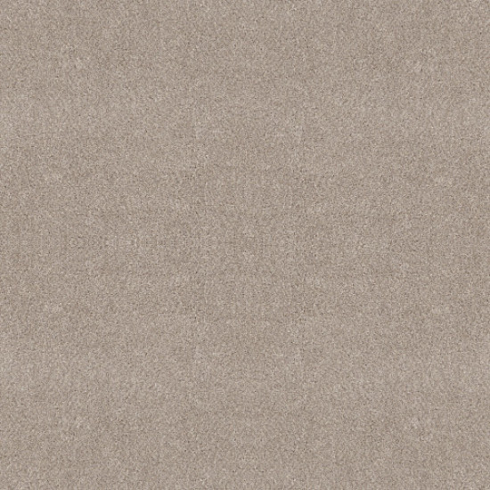 ALL ABOUT IT - Antique White 00110