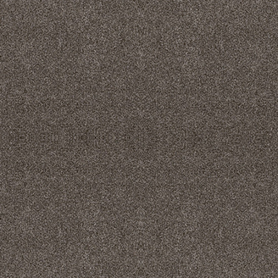 ALL ABOUT IT - Meteorite 00501