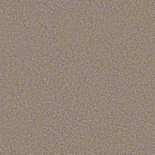 ALL ABOUT IT - Wild Truffle 00710