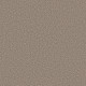 ALL ABOUT IT - Wild Truffle 00710