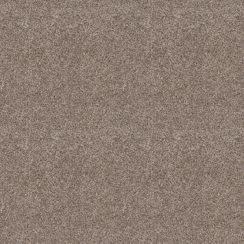 CHARMED HUES - Sugar Cookie 00101