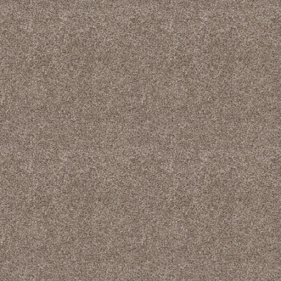 CHARMED HUES - Sugar Cookie 00101 CHARMED HUES - Sugar Cookie 00101