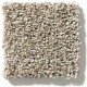 CHARMED HUES - Sugar Cookie 00101 CHARMED HUES - Sugar Cookie 00101