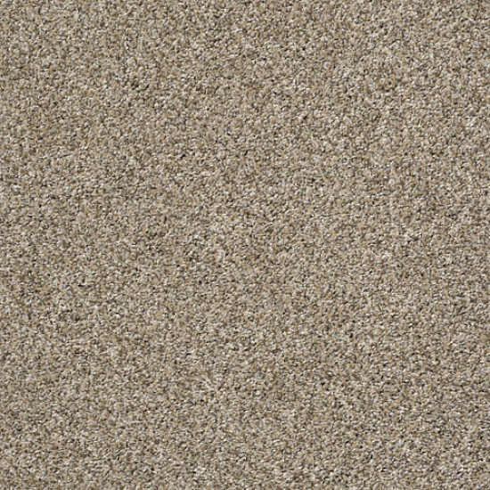 CHARMED HUES - Sugar Cookie 00101 CHARMED HUES - Sugar Cookie 00101