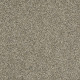 CHARMED HUES - Park Trail 00102 CHARMED HUES - Park Trail 00102