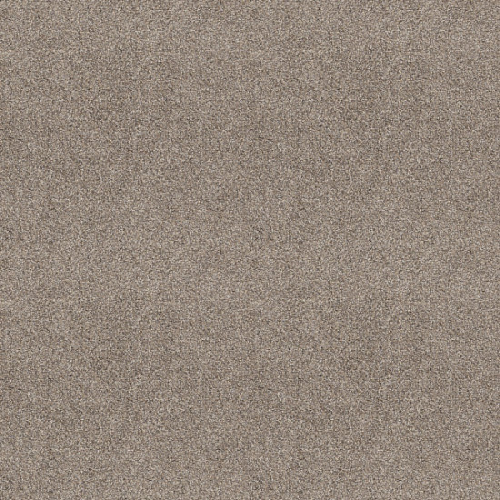 CHARMED HUES - Park Trail 00102 CHARMED HUES - Park Trail 00102