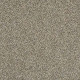 CHARMED HUES - Park Trail 00102 CHARMED HUES - Park Trail 00102