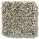 CHARMED HUES - Park Trail 00102 CHARMED HUES - Park Trail 00102