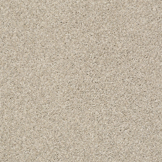 CHARMED HUES - Antique White 00110 CHARMED HUES - Antique White 00110