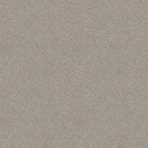 ATTAINABLE - Desert Light 121T