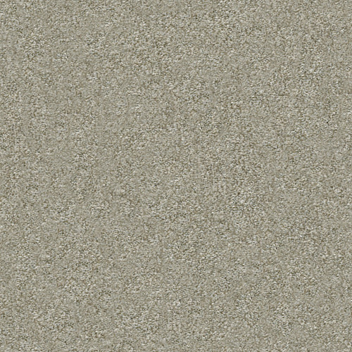ATTAINABLE - Winter Dunes 123T