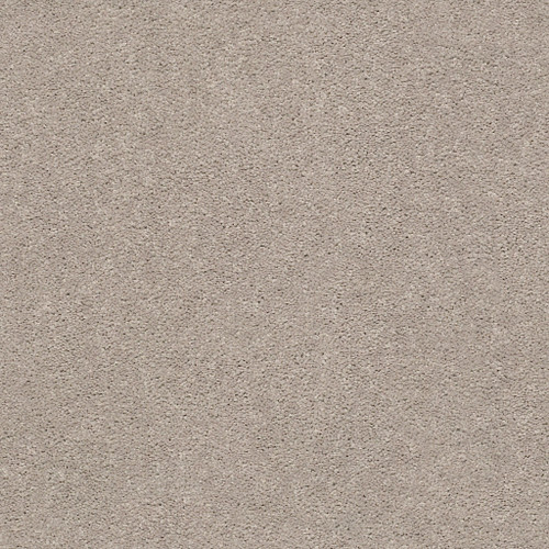 MOMENTUM I - Boutique 102S