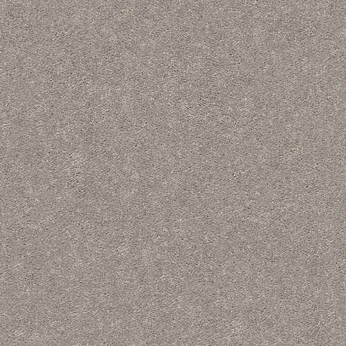 MOMENTUM II - Canopy 103S