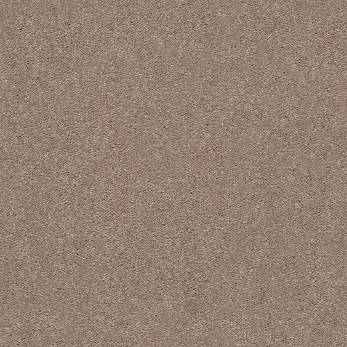 MOMENTUM II - Canyon Buff 700S
