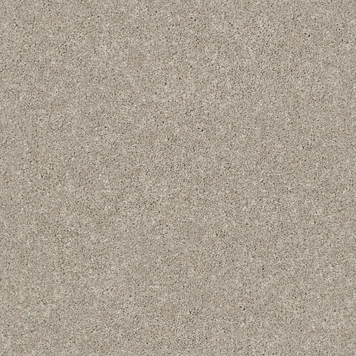 MOMENTUM I - Driftwood 120T