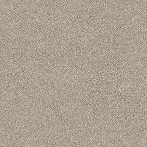 MOMENTUM I - Driftwood 120T