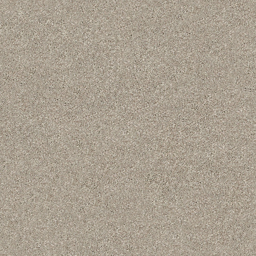 MOMENTUM II - Driftwood 120T