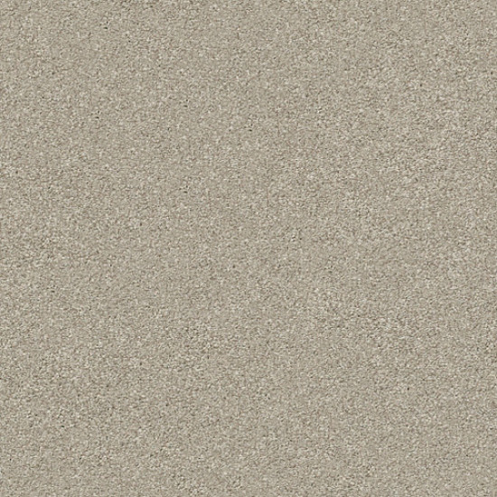 MONTAGE II - Shoreline Haze 120T