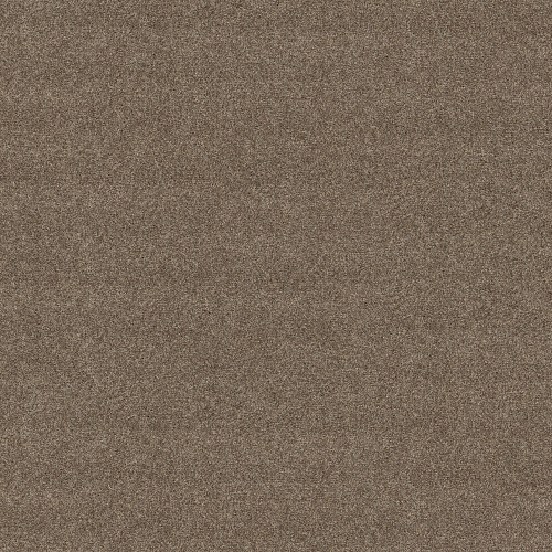 MOMENTUM II - Canopy 103S